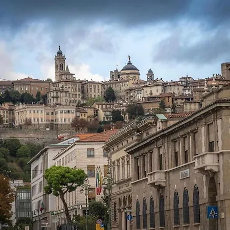 Smart Gold Apartment Elegant Style 아파트 베르가모