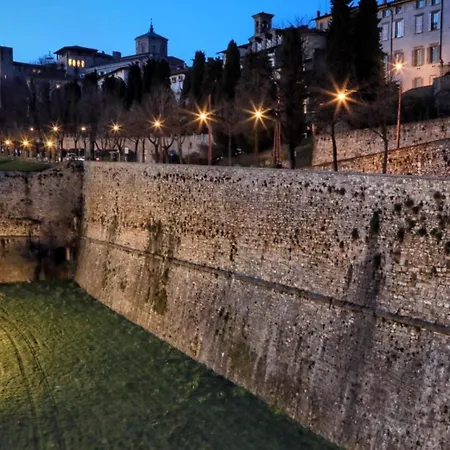 Smart Gold Apartment Elegant Style *